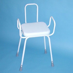 Wren Perching Stool with Arms & Backrest