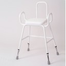 Wren Perching Stool with Arms & Backrest