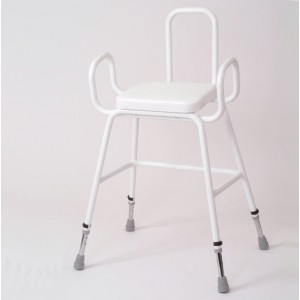 Wren Perching Stool with Arms & Backrest